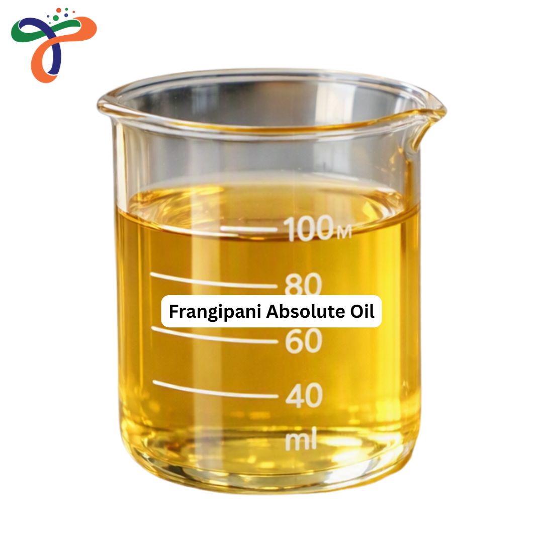 Frangipani Absolute Oil
